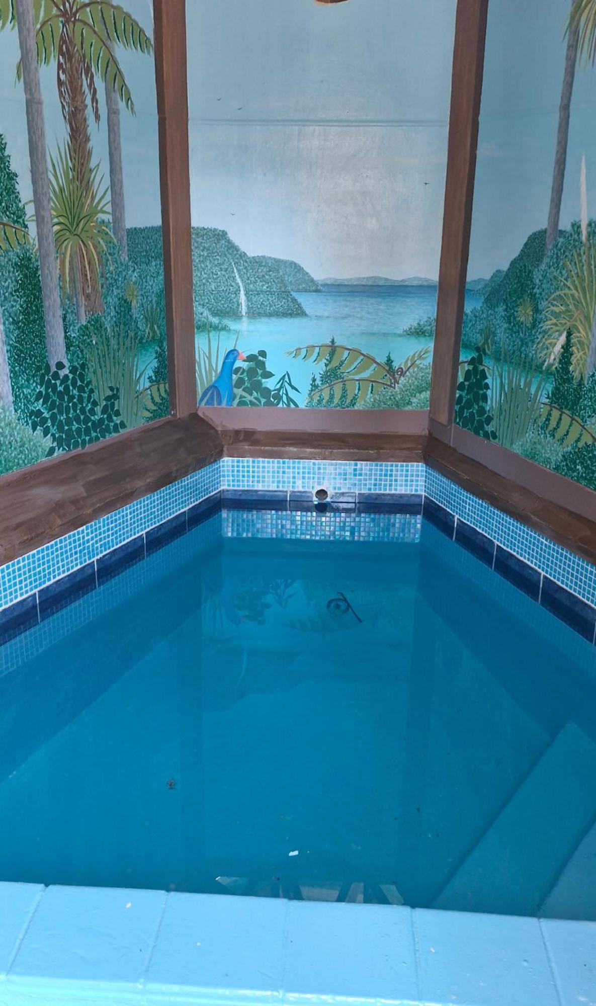 Tokaanu Lodge Motel Туранги Екстериор снимка